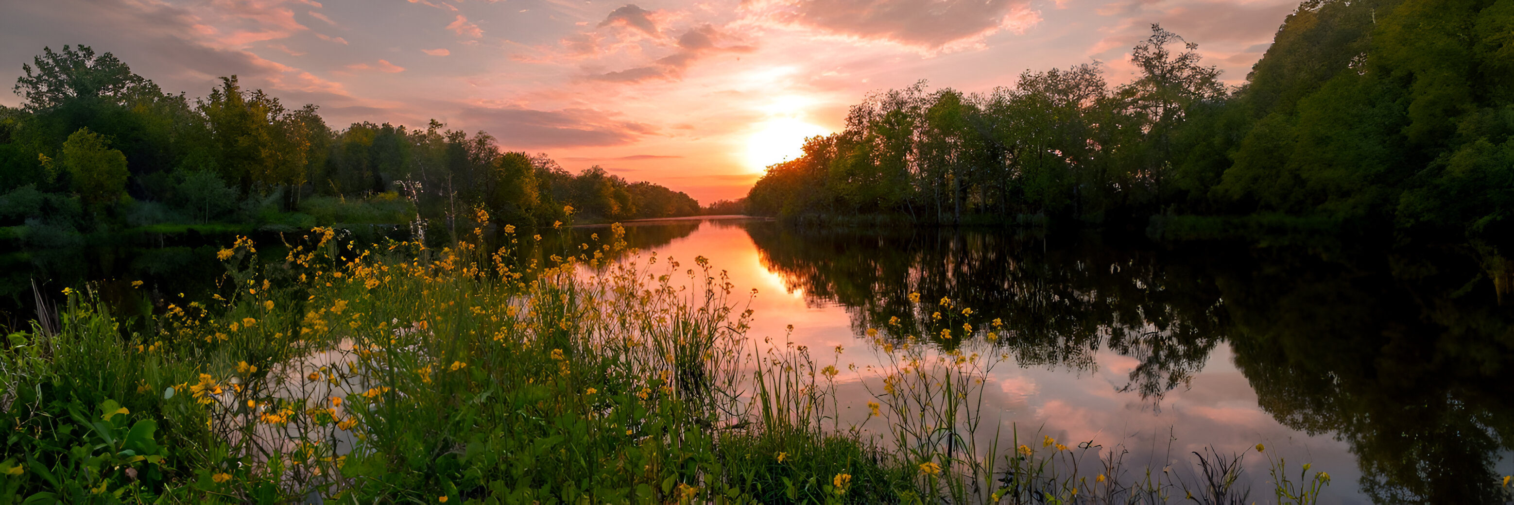 River Scene