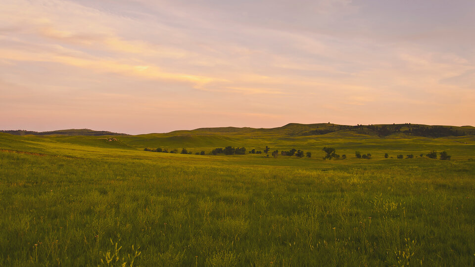 Great Plains Landscape 