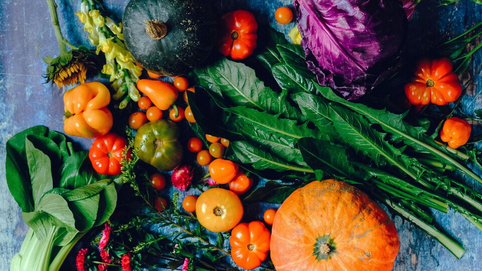 various squash, leafy greens, herbs, and flowers