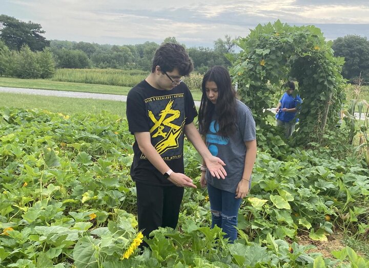 Students discussing growing practices for zucchini plants